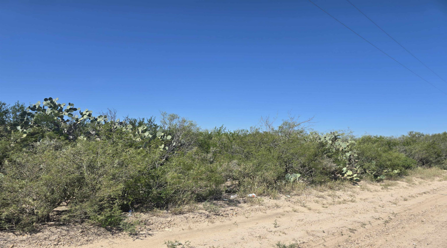 ABST 1293 SUR 1739, Laredo, Texas 78046, ,Land,For Sale,ABST 1293 SUR 1739,20255551