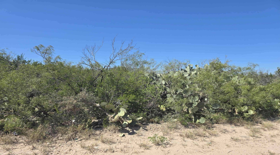 ABST 1293 SUR 1739, Laredo, Texas 78046, ,Land,For Sale,ABST 1293 SUR 1739,20255551