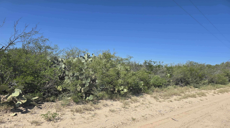 ABST 1293 SUR 1739, Laredo, Texas 78046, ,Land,For Sale,ABST 1293 SUR 1739,20255551