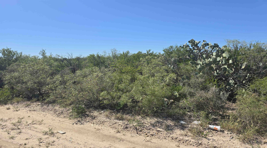 ABST 1293 SUR 1739, Laredo, Texas 78046, ,Land,For Sale,ABST 1293 SUR 1739,20255551