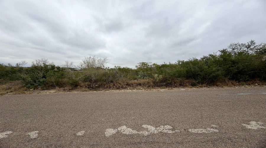 5114 Cuellar Ln, Zapata, Texas 78076, ,Land,For Sale,5114 Cuellar Ln,20260032