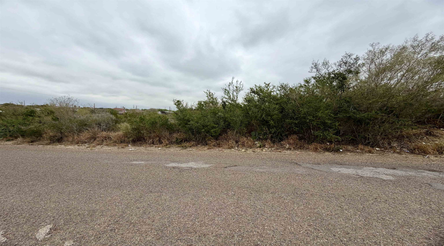 5114 Cuellar Ln, Zapata, Texas 78076, ,Land,For Sale,5114 Cuellar Ln,20260032