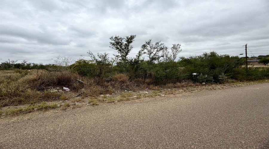 2224 Siesta Ln, Zapata, Texas 78076, ,Land,For Sale,2224 Siesta Ln,20260033