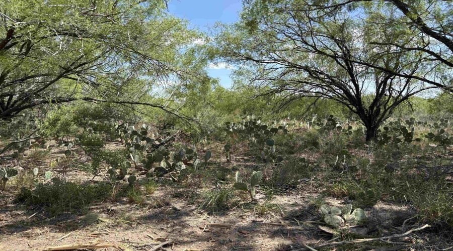 NW 1/2 OF TRS 33 THRU 40 SEC 40 AND 57 THRU 64, FOWLERTON, Texas 78021, ,Land,For Sale,NW 1/2 OF TRS 33 THRU 40 SEC 40 AND 57 THRU 64,20260042