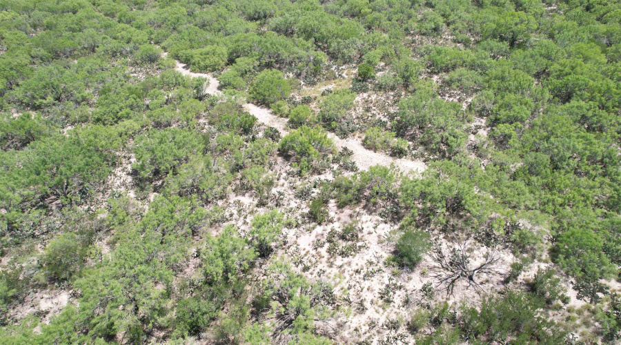 NW 1/2 OF TRS 33 THRU 40 SEC 40 AND 57 THRU 64, FOWLERTON, Texas 78021, ,Land,For Sale,NW 1/2 OF TRS 33 THRU 40 SEC 40 AND 57 THRU 64,20260042