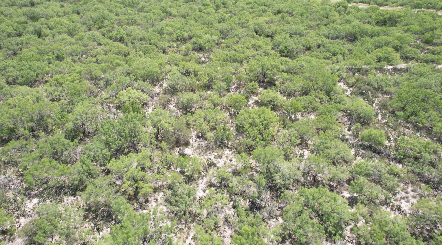 NW 1/2 OF TRS 33 THRU 40 SEC 40 AND 57 THRU 64, FOWLERTON, Texas 78021, ,Land,For Sale,NW 1/2 OF TRS 33 THRU 40 SEC 40 AND 57 THRU 64,20260042