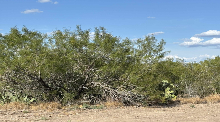 NW 1/2 OF TRS 33 THRU 40 SEC 40 AND 57 THRU 64, FOWLERTON, Texas 78021, ,Land,For Sale,NW 1/2 OF TRS 33 THRU 40 SEC 40 AND 57 THRU 64,20260042