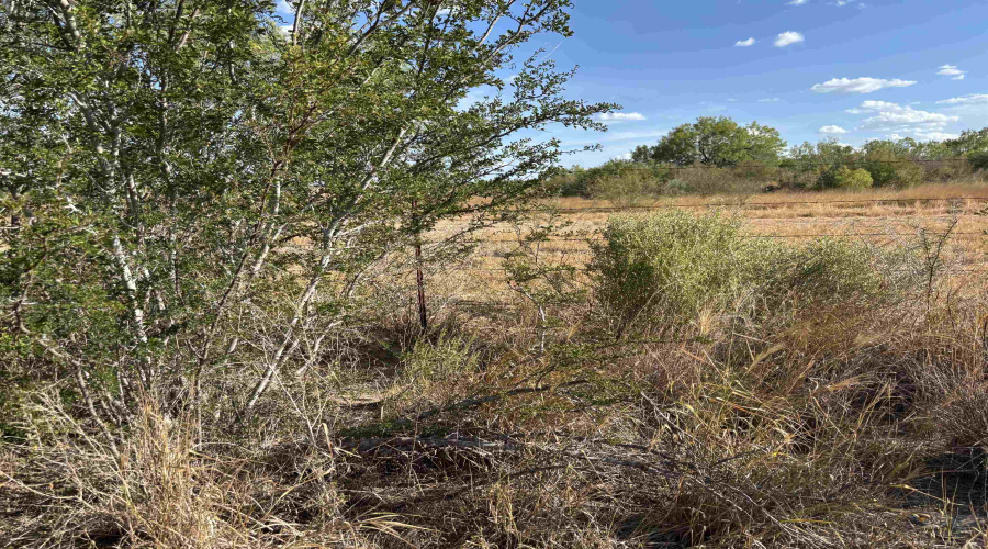 NW 1/2 OF TRS 33 THRU 40 SEC 40 AND 57 THRU 64, FOWLERTON, Texas 78021, ,Land,For Sale,NW 1/2 OF TRS 33 THRU 40 SEC 40 AND 57 THRU 64,20260042