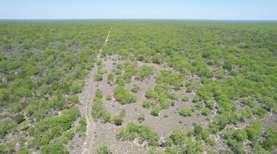 NW 1/2 OF TRS 33 THRU 40 SEC 40 AND 57 THRU 64, FOWLERTON, Texas 78021, ,Land,For Sale,NW 1/2 OF TRS 33 THRU 40 SEC 40 AND 57 THRU 64,20260042