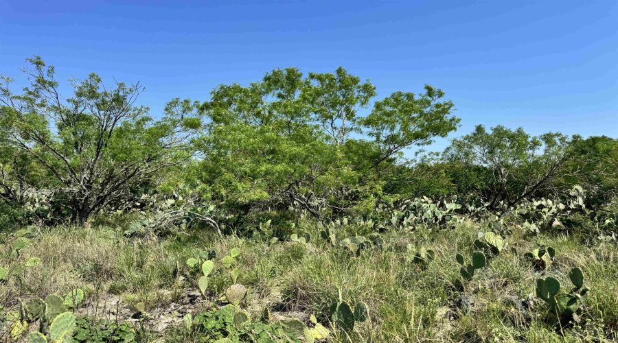 NW 1/2 OF TRS 33 THRU 40 SEC 40 AND 57 THRU 64, FOWLERTON, Texas 78021, ,Land,For Sale,NW 1/2 OF TRS 33 THRU 40 SEC 40 AND 57 THRU 64,20260042