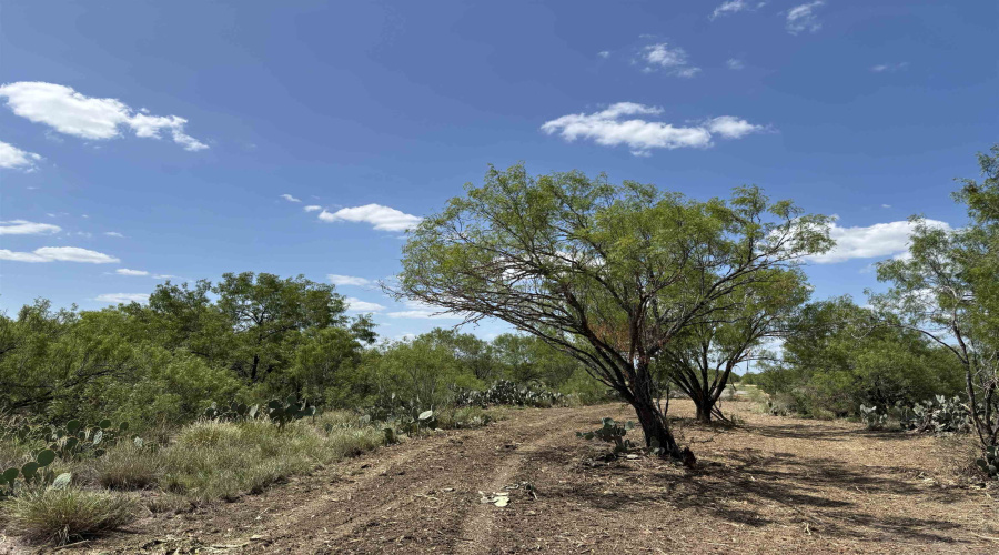 NW 1/2 OF TRS 33 THRU 40 SEC 40 AND 57 THRU 64, FOWLERTON, Texas 78021, ,Land,For Sale,NW 1/2 OF TRS 33 THRU 40 SEC 40 AND 57 THRU 64,20260042