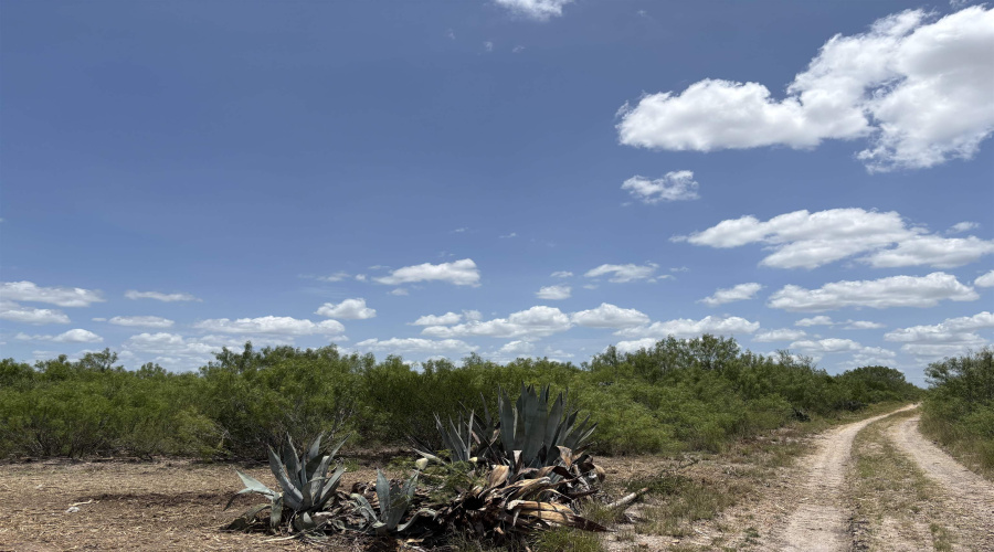 NW 1/2 OF TRS 33 THRU 40 SEC 40 AND 57 THRU 64, Fowlerton, Texas 78021, ,Land,For Sale,NW 1/2 OF TRS 33 THRU 40 SEC 40 AND 57 THRU 64,20260043