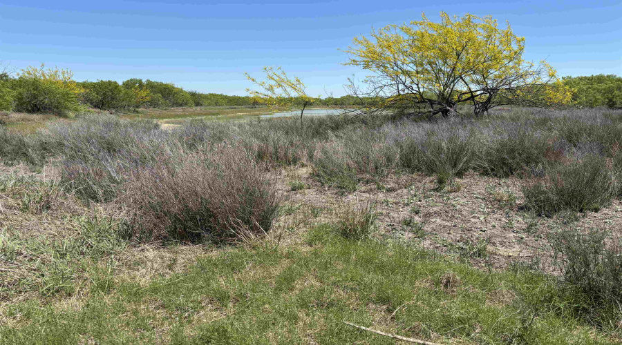 NW 1/2 OF TRS 33 THRU 40 SEC 40 AND 57 THRU 64, Fowlerton, Texas 78021, ,Land,For Sale,NW 1/2 OF TRS 33 THRU 40 SEC 40 AND 57 THRU 64,20260043