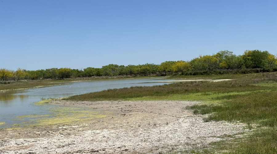 NW 1/2 OF TRS 33 THRU 40 SEC 40 AND 57 THRU 64, Fowlerton, Texas 78021, ,Land,For Sale,NW 1/2 OF TRS 33 THRU 40 SEC 40 AND 57 THRU 64,20260043