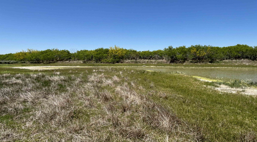 NW 1/2 OF TRS 33 THRU 40 SEC 40 AND 57 THRU 64, Fowlerton, Texas 78021, ,Land,For Sale,NW 1/2 OF TRS 33 THRU 40 SEC 40 AND 57 THRU 64,20260043