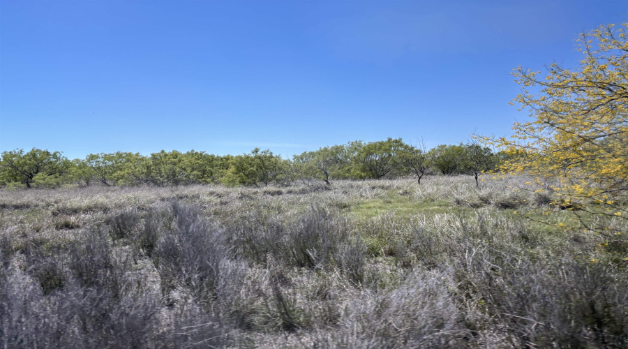 NW 1/2 OF TRS 33 THRU 40 SEC 40 AND 57 THRU 64, Fowlerton, Texas 78021, ,Land,For Sale,NW 1/2 OF TRS 33 THRU 40 SEC 40 AND 57 THRU 64,20260043