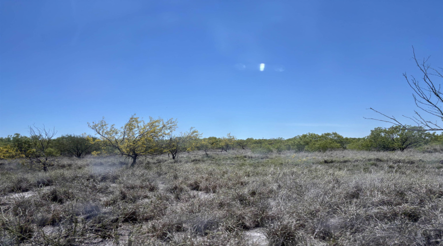 NW 1/2 OF TRS 33 THRU 40 SEC 40 AND 57 THRU 64, Fowlerton, Texas 78021, ,Land,For Sale,NW 1/2 OF TRS 33 THRU 40 SEC 40 AND 57 THRU 64,20260043