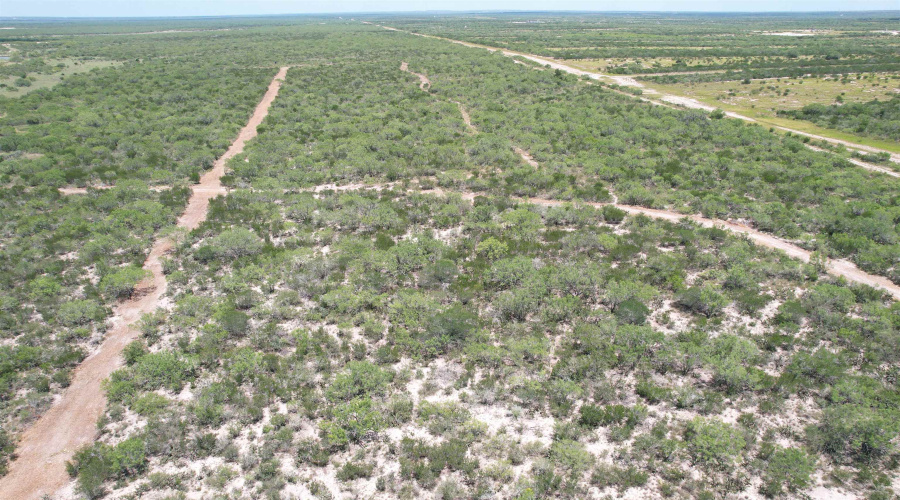 NW 1/2 OF TRS 33 THRU 40 SEC 40 AND 57 THRU 64, Fowlerton, Texas 78021, ,Land,For Sale,NW 1/2 OF TRS 33 THRU 40 SEC 40 AND 57 THRU 64,20260043
