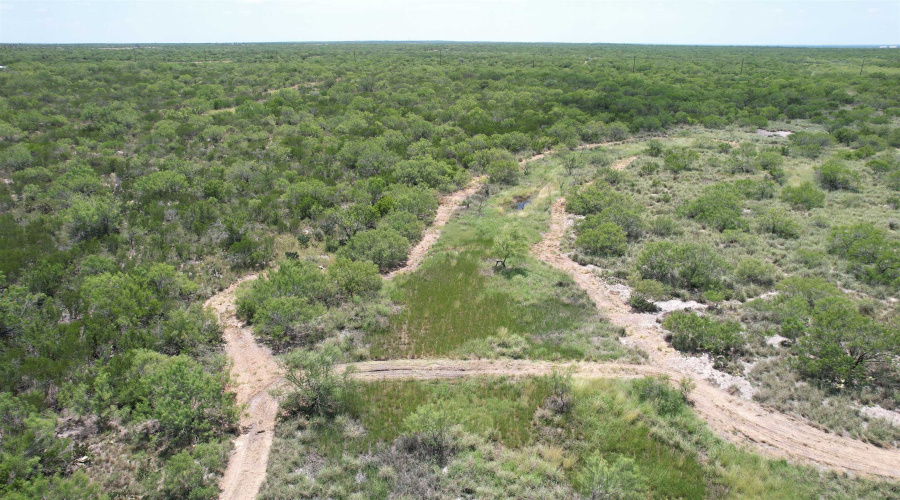 NW 1/2 OF TRS 33 THRU 40 SEC 40 AND 57 THRU 64, Fowlerton, Texas 78021, ,Land,For Sale,NW 1/2 OF TRS 33 THRU 40 SEC 40 AND 57 THRU 64,20260043