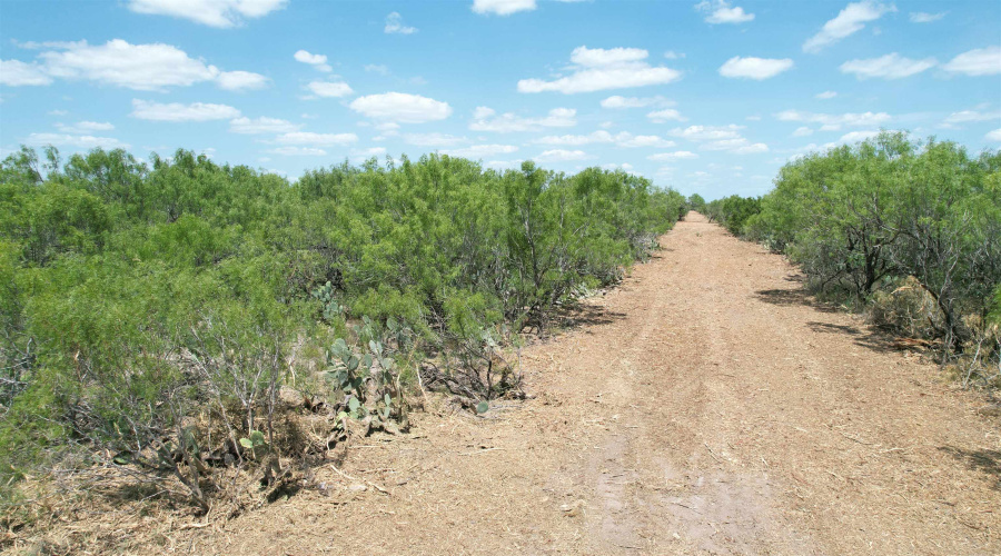 NW 1/2 OF TRS 33 THRU 40 SEC 40 AND 57 THRU 64, Fowlerton, Texas 78021, ,Land,For Sale,NW 1/2 OF TRS 33 THRU 40 SEC 40 AND 57 THRU 64,20260043