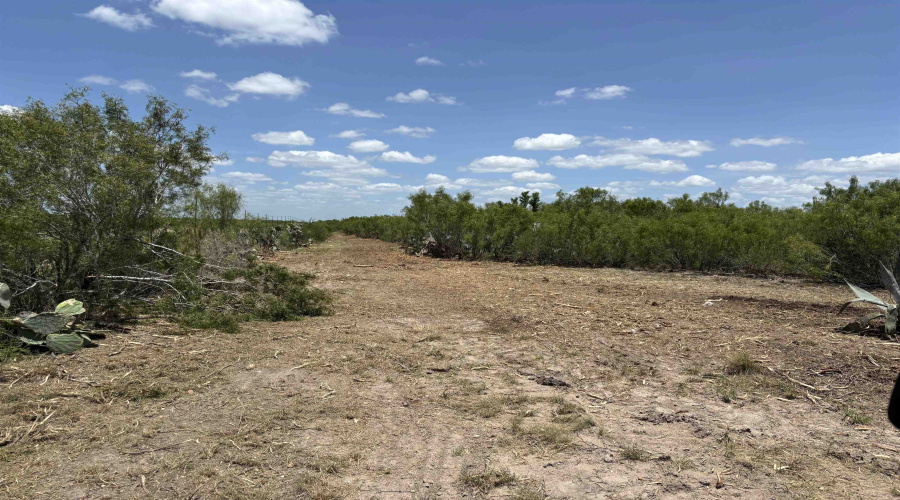 NW 1/2 OF TRS 33 THRU 40 SEC 40 AND 57 THRU 64, Fowlerton, Texas 78021, ,Land,For Sale,NW 1/2 OF TRS 33 THRU 40 SEC 40 AND 57 THRU 64,20260043