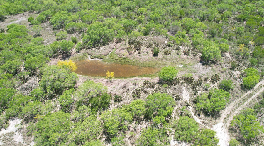 NW 1/2 OF TRS 33 THRU 40 SEC 40 AND 57 THRU 64, Fowlerton, Texas 78021, ,Land,For Sale,NW 1/2 OF TRS 33 THRU 40 SEC 40 AND 57 THRU 64,20260043