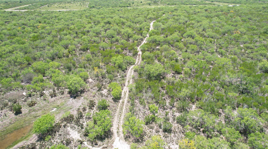NW 1/2 OF TRS 33 THRU 40 SEC 40 AND 57 THRU 64, Fowlerton, Texas 78021, ,Land,For Sale,NW 1/2 OF TRS 33 THRU 40 SEC 40 AND 57 THRU 64,20260043