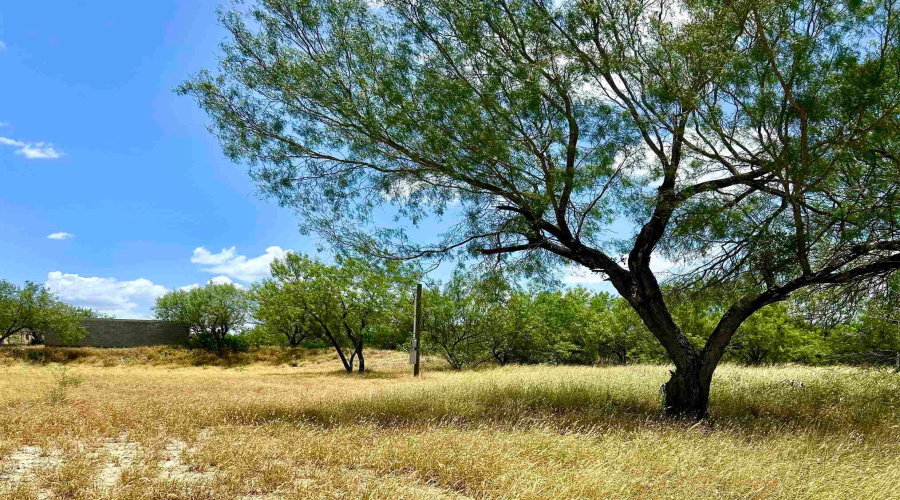 408 Condor Ave., Laredo, Texas 78076, ,Land,For Sale,408 Condor Ave.,20260069