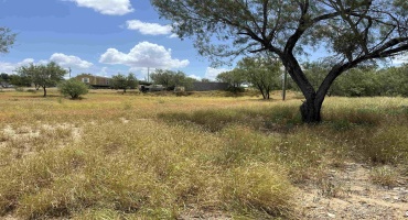 408 Condor Ave., Laredo, Texas 78076, ,Land,For Sale,408 Condor Ave.,20260069