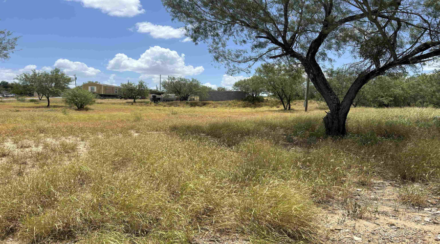 408 Condor Ave., Laredo, Texas 78076, ,Land,For Sale,408 Condor Ave.,20260069
