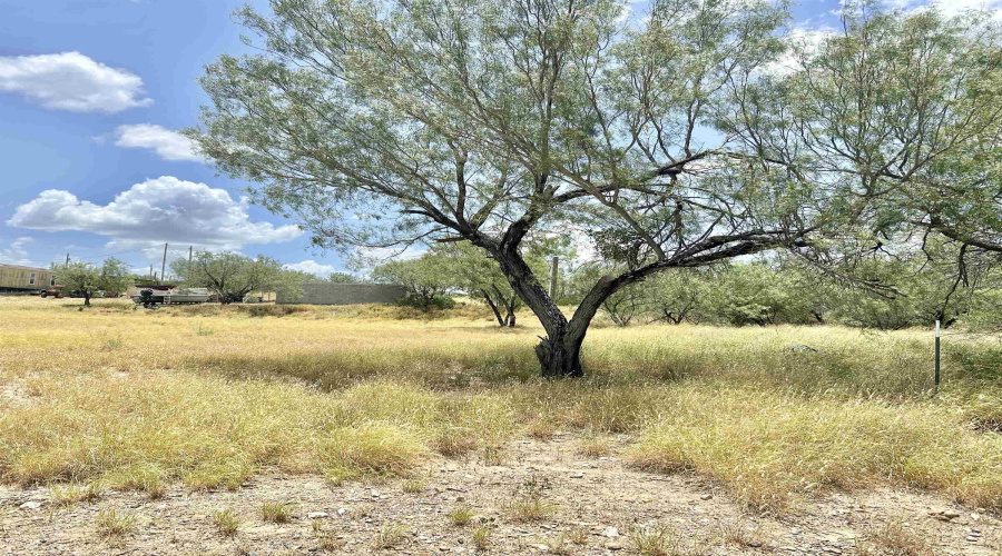 408 Condor Ave., Laredo, Texas 78076, ,Land,For Sale,408 Condor Ave.,20260069