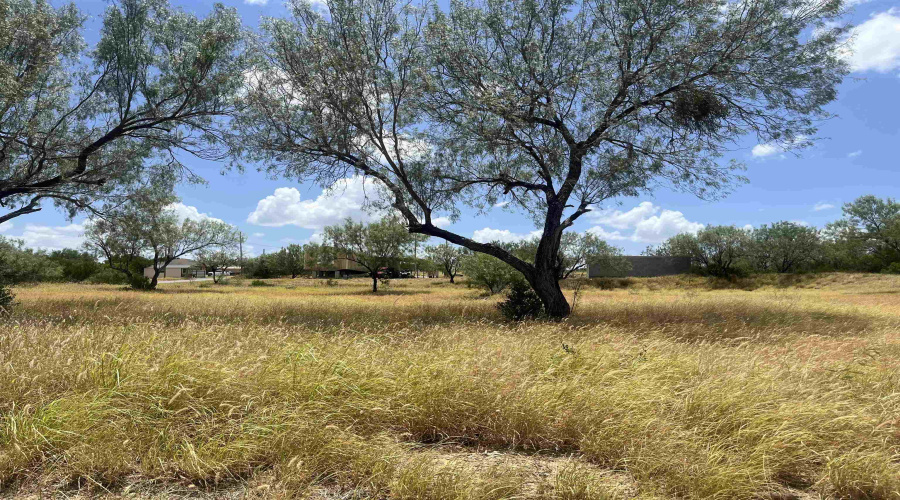 410 Condor Ave., ZAPATA, Texas 78076, ,Land,For Sale,410 Condor Ave.,20260070