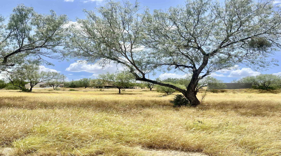 410 Condor Ave., ZAPATA, Texas 78076, ,Land,For Sale,410 Condor Ave.,20260070