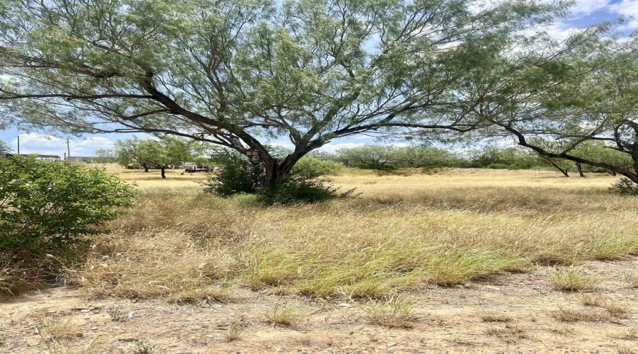 410 Condor Ave., ZAPATA, Texas 78076, ,Land,For Sale,410 Condor Ave.,20260070