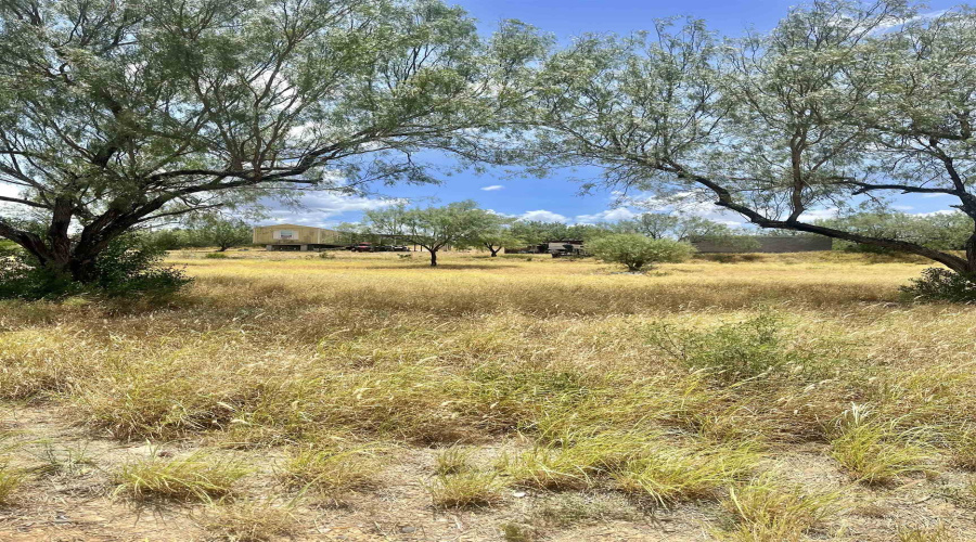 410 Condor Ave., ZAPATA, Texas 78076, ,Land,For Sale,410 Condor Ave.,20260070