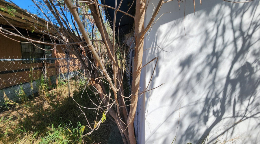 5404 Lopez Lane, Zapata, Texas 78076, 2 Bedrooms Bedrooms, 4 Rooms Rooms,2 BathroomsBathrooms,Residential,For Sale,5404 Lopez Lane,20260088