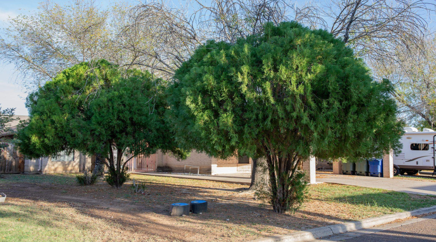 8708 Puerto Vallarta, Laredo, Texas 78045, 4 Bedrooms Bedrooms, 7 Rooms Rooms,2 BathroomsBathrooms,Residential,For Sale,8708 Puerto Vallarta,20260096