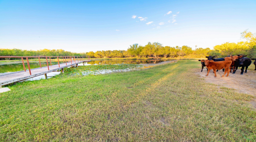 382 San Juan Rd, Laredo, Texas 78045, 3 Bedrooms Bedrooms, 7 Rooms Rooms,3 BathroomsBathrooms,Residential,For Sale,382 San Juan Rd,20260127