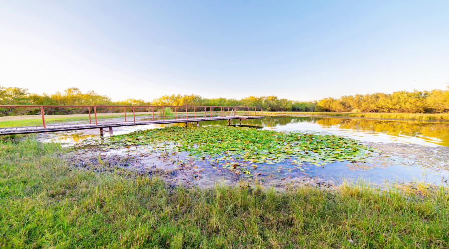 382 San Juan Rd, Laredo, Texas 78045, 3 Bedrooms Bedrooms, 7 Rooms Rooms,3 BathroomsBathrooms,Residential,For Sale,382 San Juan Rd,20260127