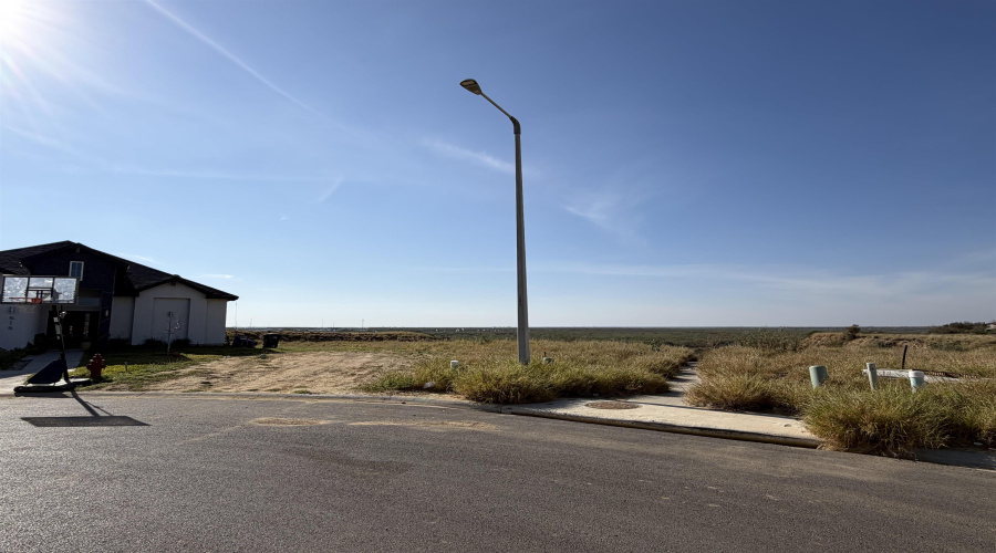 517 Concepcion, Laredo, Texas 78045, ,Land,For Sale,517 Concepcion,20260136