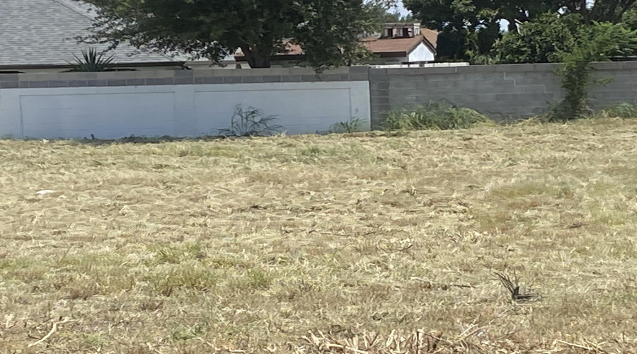 001 Shiloh Dr, LAREDO, Texas 78045, ,Land,For Sale,001 Shiloh Dr,20260149