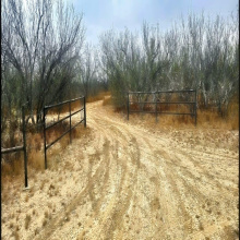 OUT OF AREA, CRYSTAL, Texas 78839, ,Land,For Sale,OUT OF AREA,20260179