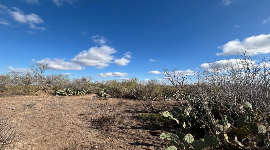 1300 Camino Don Antonio, Laredo, Texas 78043, ,Land,For Sale,1300 Camino Don Antonio,20260286