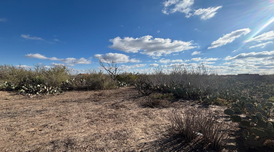 1300 Camino Don Antonio, Laredo, Texas 78043, ,Land,For Sale,1300 Camino Don Antonio,20260286