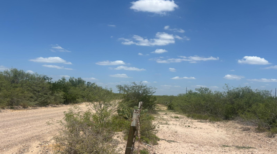 34 Acres Mangana-Hein Rd, Laredo, Texas 78046, ,Land,For Sale,34 Acres Mangana-Hein Rd,20260290