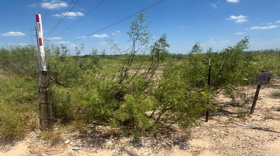 26 Acres ABST 478 POR 46 B, Laredo, Texas 78046, ,Land,For Sale,26 Acres ABST 478 POR 46 B,20260291