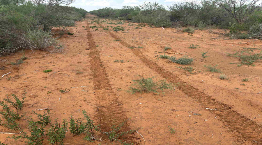 10770 S IH 35 Artesia Wells, Artesia, Texas 78001, ,Land,For Sale,10770 S IH 35 Artesia Wells,20260303