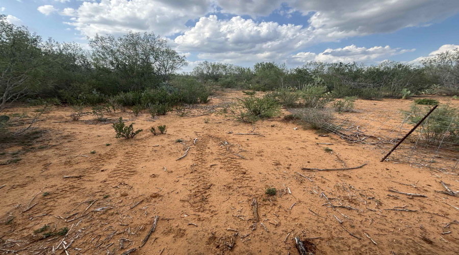 10770 S IH 35 Artesia Wells, Artesia, Texas 78001, ,Land,For Sale,10770 S IH 35 Artesia Wells,20260303