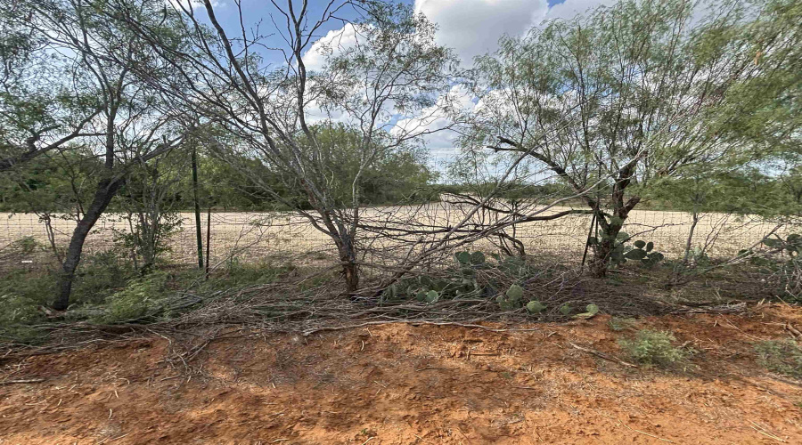 10770 S IH 35 Artesia Wells, Artesia, Texas 78001, ,Land,For Sale,10770 S IH 35 Artesia Wells,20260303