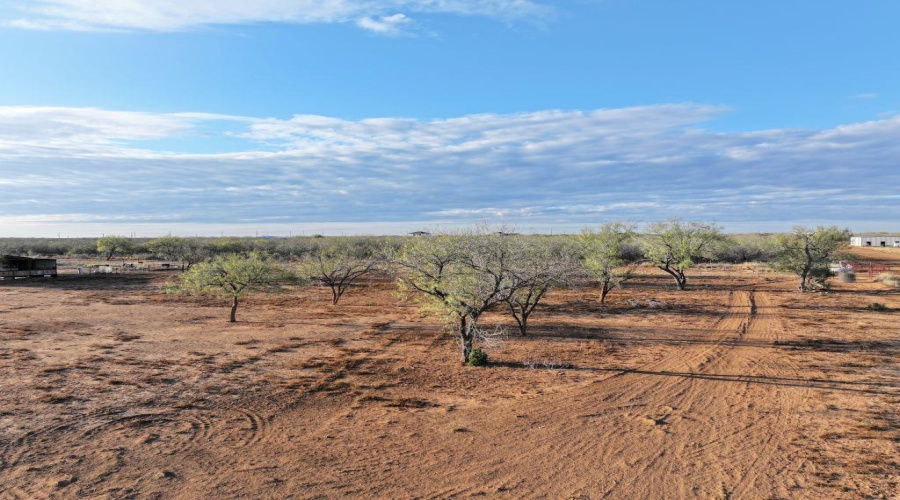 275 Jefferies Rd., Laredo, Texas 78045, 4 Bedrooms Bedrooms, 7 Rooms Rooms,3 BathroomsBathrooms,Residential,For Sale,275 Jefferies Rd.,20260301